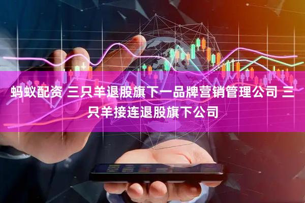 蚂蚁配资 三只羊退股旗下一品牌营销管理公司 三只羊接连退股旗下公司