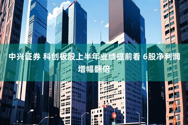中兴证券 科创板股上半年业绩提前看 6股净利润增幅翻倍
