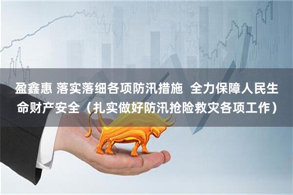 盈鑫惠 落实落细各项防汛措施  全力保障人民生命财产安全（扎实做好防汛抢险救灾各项工作）
