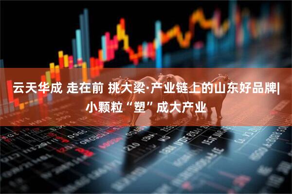 云天华成 走在前 挑大梁·产业链上的山东好品牌|小颗粒“塑”成大产业