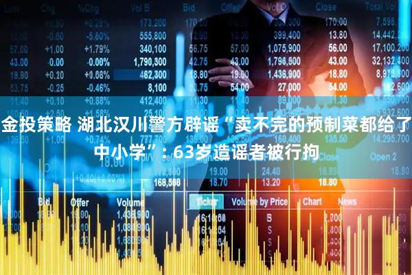 金投策略 湖北汉川警方辟谣“卖不完的预制菜都给了中小学”: 63岁造谣者被行拘